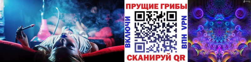 ссылка на мегу рабочий сайт Луга Галлюциногенные грибы мухоморы