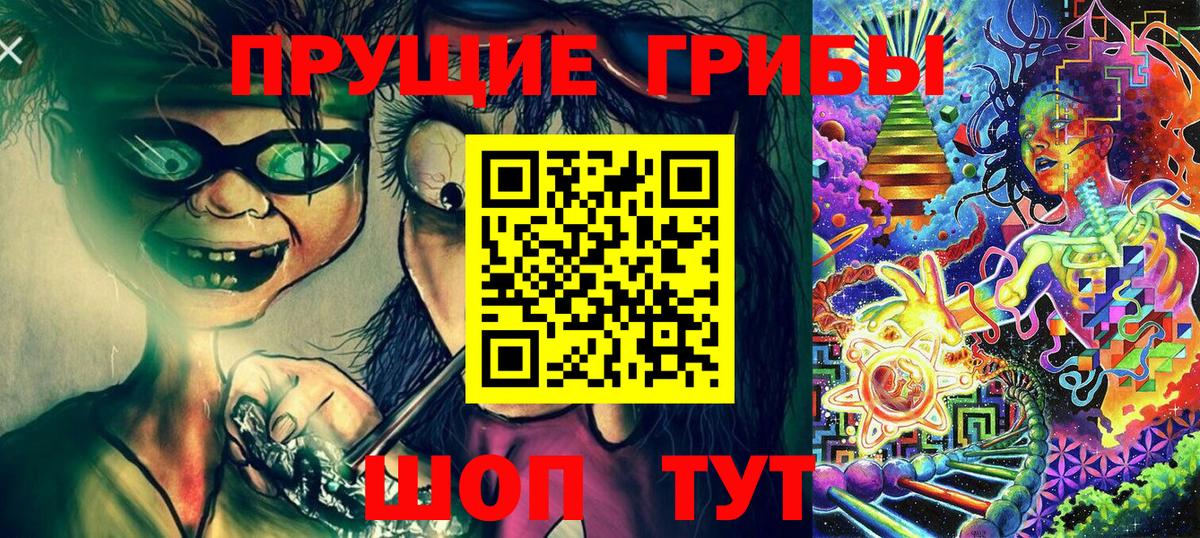 Луга  Галлюциногенные грибы Psilocybe  Вход с VPN  Псилоцибиновые грибы GOLDEN TEACHER 
